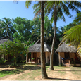 Quang cảnh - Việt Thanh Resort