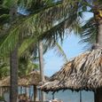 Bungalow - Dynasty Beach Resort