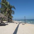 Tồng quan - Dynasty Beach Resort
