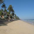 Tồng quan - Dynasty Beach Resort
