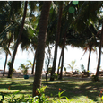 Quang cảnh - Sunshine Beach Resort