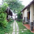 tổng quan - Muine Lodge Resort