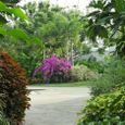 Vườn - Princess D'Annam Resort & Spa