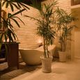Phòng tắm - Hòn Tằm Resort & Spa