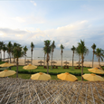 Cảnh quan - Lotus Mui Ne Resort and Spa