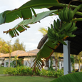 Cảnh quan - Mũi Né Bay Resort