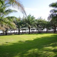 Cảnh quan - Phú Hải Resort