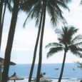 Cảnh quan - Phú Hải Resort