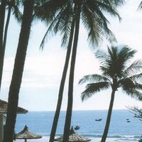 Cảnh quan - Phú Hải Resort