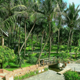 Quang cảnh - Sài Gòn Mũi Né Resort