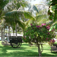 Quang cảnh - Sài Gòn Mũi Né Resort