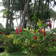 Quang cảnh - Sài Gòn Mũi Né Resort