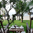 Cảnh quan - Sea Lion Resort