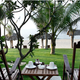 Sea Lion Resort
