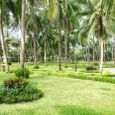 Cảnh quan - Sea Lion Resort
