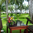 Cảnh quan - Sea Lion Resort