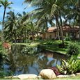 Tổng quan - Seahorse Resort