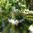 Cảnh quan - Terracotta Resort & Spa