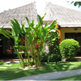 Cảnh quan - Terracotta Resort & Spa