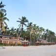 Cảnh quan - Amaryllis Resort
