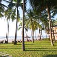Cảnh quan - Amaryllis Resort