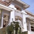 Cảnh quan - Amaryllis Resort