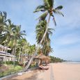 Cảnh quan - Amaryllis Resort
