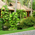 Cảnh quan - Bamboo Village Resort
