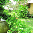 Cảnh quan - Bamboo Village Resort