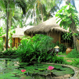Cảnh quan - Bamboo Village Resort
