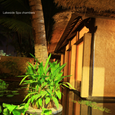 Cảnh quan - Bamboo Village Resort