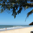 Cảnh quan - Bamboo Village Resort