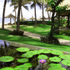 Resort thật tốt