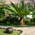 Cảnh quan - Cham Villas Resort