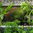 Cảnh quan - Cham Villas Resort