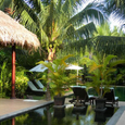 Cảnh quan - Cham Villas Resort