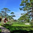 Cảnh quan - Đà Lạt Cadasa Resort