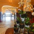 Sảnh - Khách sạn Dalat Du Parc