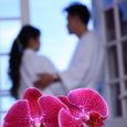 Phòng ngủ - Khách sạn Ngọc Lan