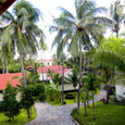 Cảnh quan - Ocean Star Resort