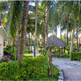 Cảnh quan - Ocean Star Resort