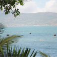 Bãi biển - Royal Quy Nhơn Resort