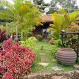 Tổng Quan - Chez Carole Resort