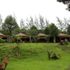 Chez Carole Resort
