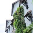Tổng quan - Hội An Trails Resort & Spa