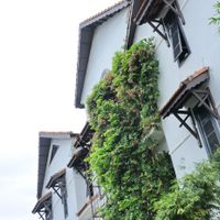 Tổng quan - Hội An Trails Resort & Spa