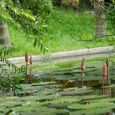 Cảng quan - Hội An Trails Resort & Spa