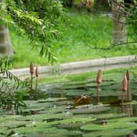 Cảng quan - Hội An Trails Resort & Spa