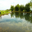 Tong Quan - SeaLinks Beach Villas