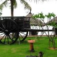 Sân vườn - Novela Resort